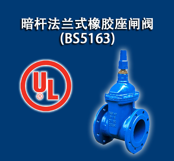 BS 5163 PN10/PN16Umʽzly
